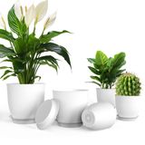 Vasos De Plantas Ipower Plant Com Drenagem 18/16/14/13/11 Cm Brancos
