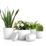 Vasos De Plantas Ipower Planters Para Plantador Interno, 5 Unidades Brancas