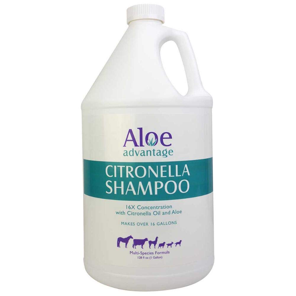 Shampoo Durvent Aloe Advantage Citronella 4l Para Várias Espécies