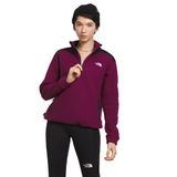 Pulôver Feminino The North Face Alpine Polartec 200 Boysenberry