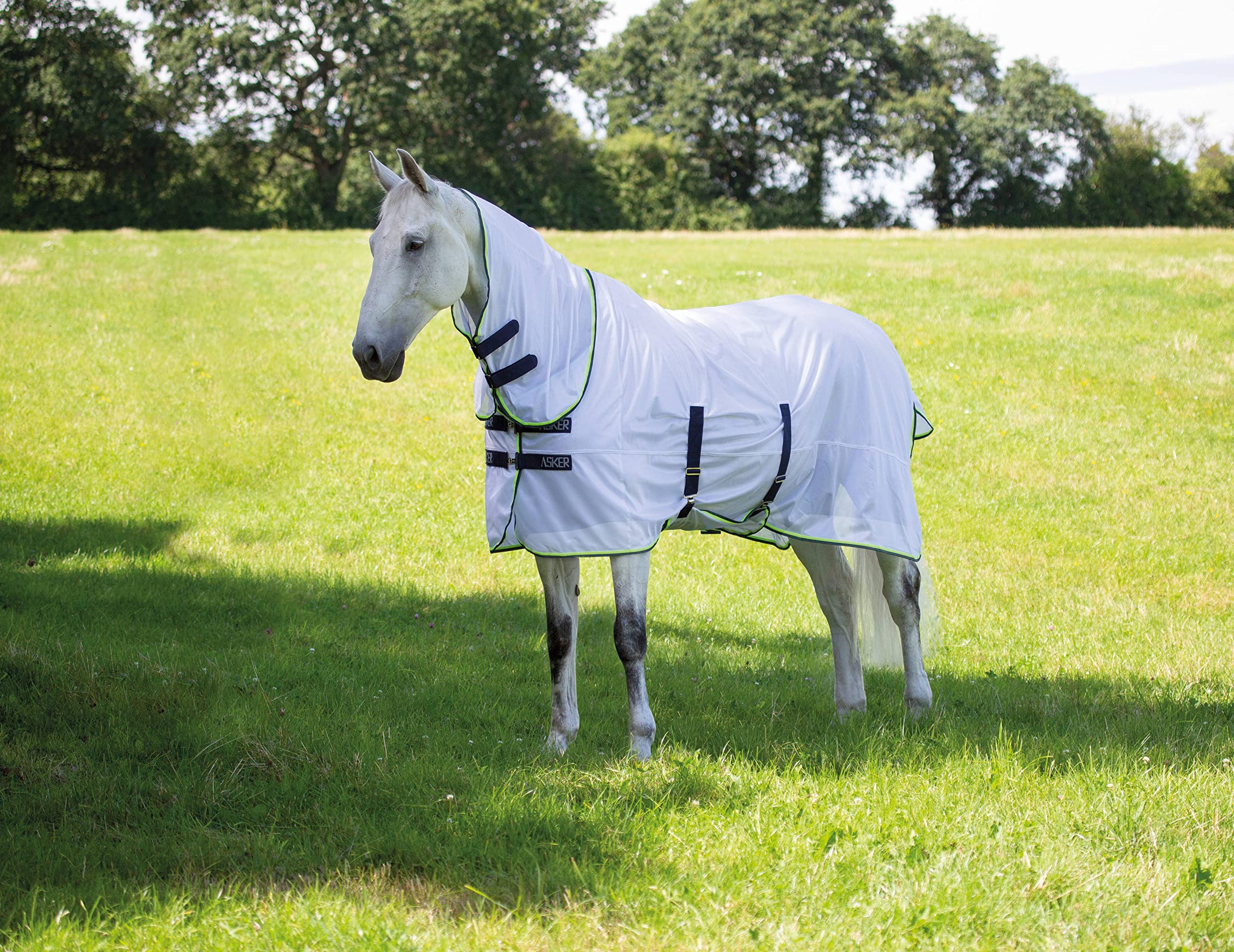 Fly Sheet Shires Equestrian Asker Para Cavalos (78 Cm)