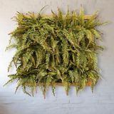 9 Plantas Samambaia Artificial Premium Com Folhas De Alta Qualidade Para Jardim De Inverno