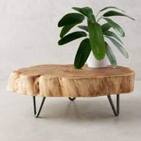 Mini Arbusto Artificial Verde Com 60cm Ideal Para Vasos Decorativos Jardim Interno E Floreiras