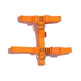 Peitoral Petz Flúor Orange Para Cães - M