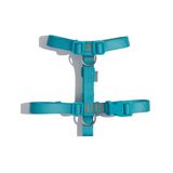 Peitoral Petz Flúor Blue Para Cães - P