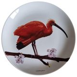 Prato De Porcelana Guará Jurema - 19 Cm