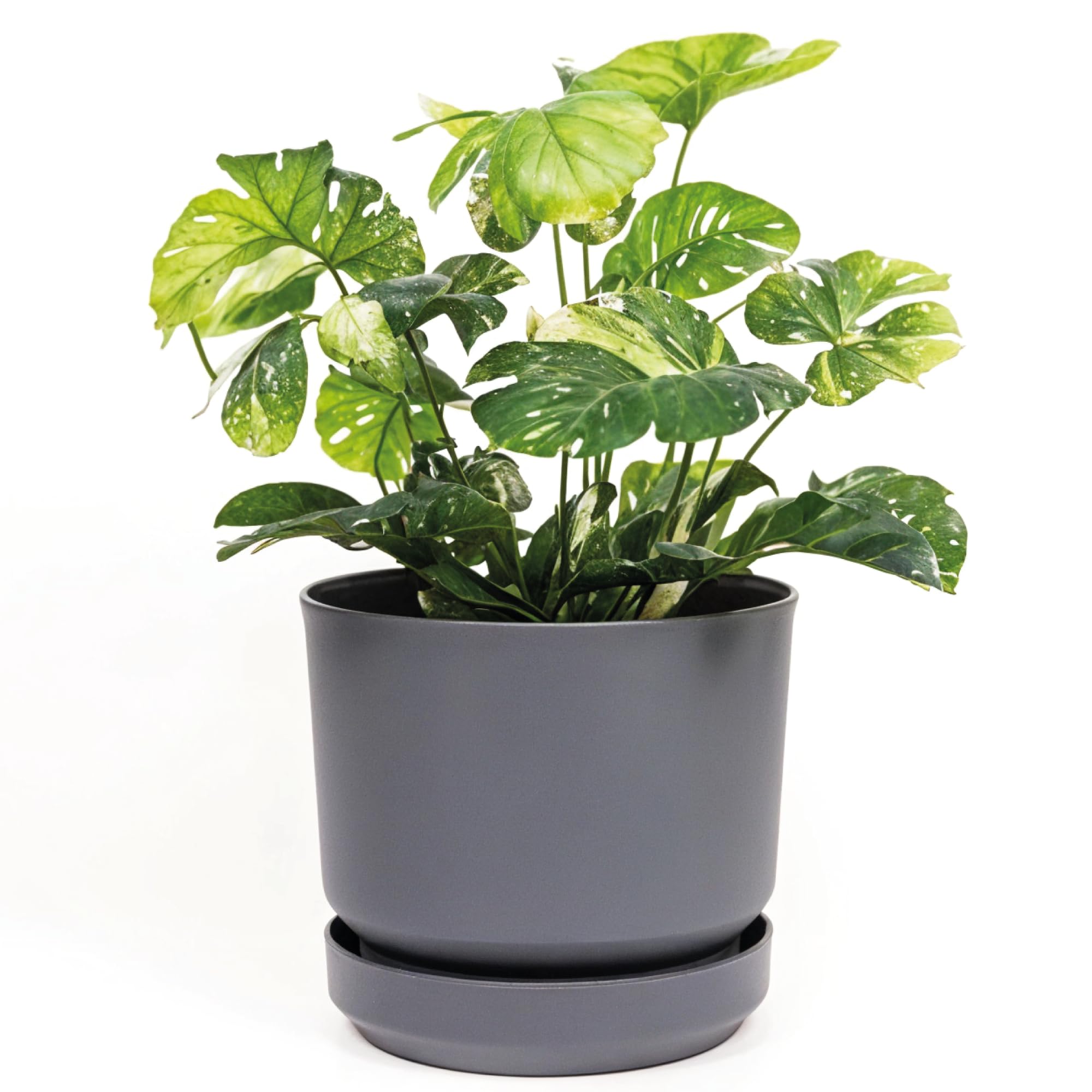 Cilindro De Plástico Planter Pot Elly Décor 35 Cm Com Pires Cinza