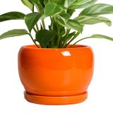 Vaso De Plantas Sqowl Ceramic 20 Cm Laranja Com Orifício De Drenagem E Molho