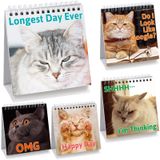 Sinais De Mesa Fancy Land Funny Kitten Lovers 30 Mensagens