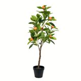 Laranjeira Artificial Em Vaso Vickerman Everyday 29 Cm
