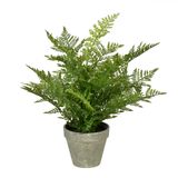 Samambaia Artificial Em Vaso Vickerman 19 Com Papel Cinza Antigo P