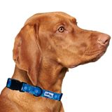 Coleira De Cachorro Cutie Ties Hanukkah Nylon Tamanho M Para Todas As Raças