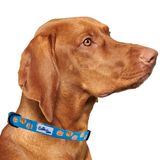 Coleira De Cachorro Cutie Ties Breakfast Club Nylon Para Cães Grandes