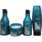 Kit Hidratante Capilar 4 Produtos 1150ml Recupper Wf