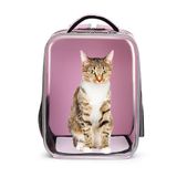Mochila Pet Bolsa De Astronauta Transparente Para Cão E Gato Rosa