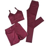 Conjunto Trijunto Fitness Calça Legging Top Poliamida E Bermuda Meia Coxa Confortavel