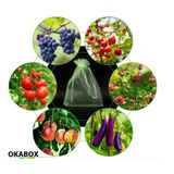 100 Saquinho Organza Protegue Fruta No Pé 10x15cm Ecologica