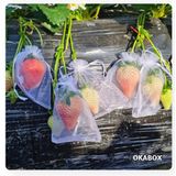 25 Saquinho Organza Protegue Fruta No Pé 10x15cm Ecologica