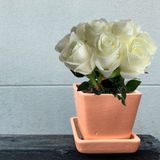 8 Rosa Artificiais Vermelha Ou Branca – Haste De Arame E Folhagens Realistas Para Sua Decoração