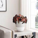18 Plantas De Cabeça-de-flecha Artificial Para Decorar Vasos Suspensos Em Lojas E Comércios