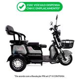 Triciclo Eletrico Smart Pam 800w 48v 25ah Cinza Plug And Move