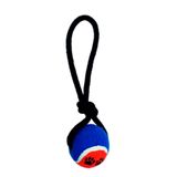 Brinquedo Mordedor Cães Corda Puxador Bolinha Azul Savana