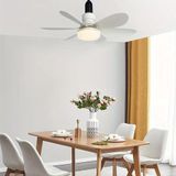 Ventilador De Teto Silencioso E Potente + Controle - 40w
