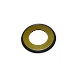 Guarda Pó Direção + Porca Coluna Direção Twister Cb 300