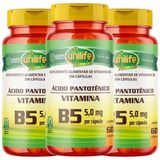 Vitamina B5 Ácido Pantotênico Vegana 60 Caps 500mg Kit Com 3