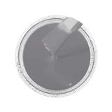 Cor Sólida Cinza Platinum Ag - Ral7036 100g