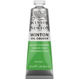 Tinta Oleo Winton W&amp;n 403 Phthalo Yellow Green 37ml