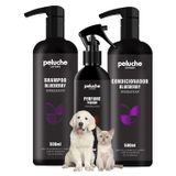 Shampoo E Condicionador Blueberry Cães + Perfume Passion