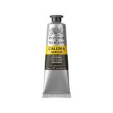Tinta Acrilica Galeria W&amp;n 386 Mars Black 60ml