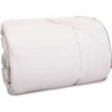 Pillow Top Queen Premium Plume 158x198 7cm 1000g/m
