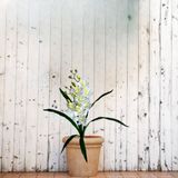 Kit 4 Orquídeas Dançante Artificial Com Folhagens Realistas E Toque Natural - Branco E Laranja