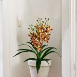 Pacote Com 6 Orquídeas Artificiais De Alta Qualidade Para Decoração Suspensa - Branco E Laranja