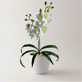 Kit 10 Orquídeas Permanentes Tipo Dançante 60cm - Elegância E Toque Natural - Branco E Laranja