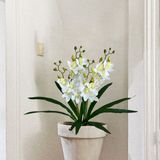 Pacote Com 6 Orquídeas Artificiais De Alta Qualidade Para Decoração Suspensa - Branco E Laranja