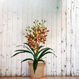 Kit 4 Orquídeas Dançante Artificial Com Folhagens Realistas E Toque Natural - Branco E Laranja