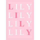 Notebook Genérica Lily Personalizado Para Quem Tem Um Nome Maravilhoso