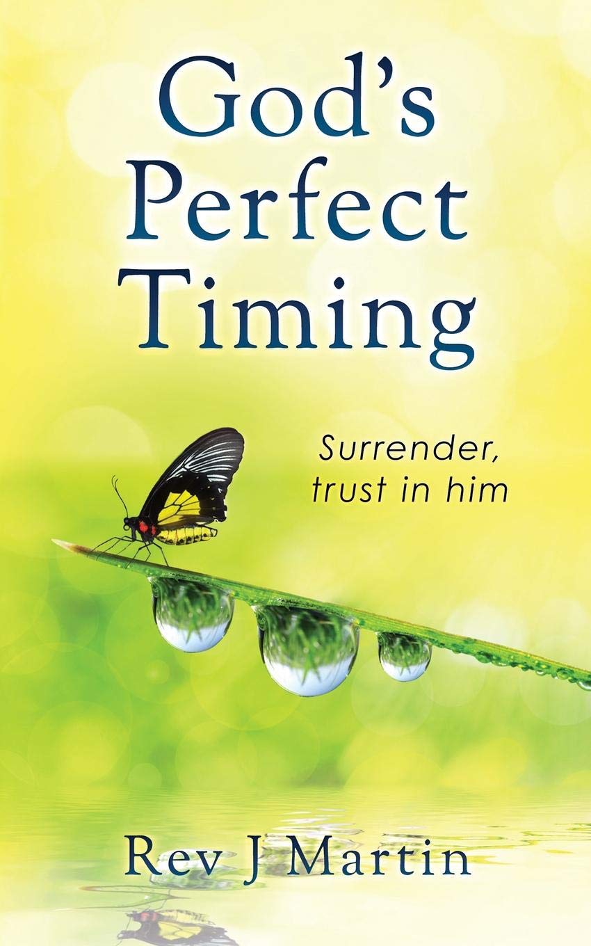 Livro God's Perfect Timing, Da Genérica