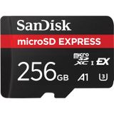 Cartão Microsd Sandisk 256gb Express Para Nintendo Switch 2