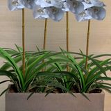 18 Folhas Artificiais Realistas E Flexíveis De Silicone Para Ambientes E Decoração De Luxo