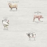 Papel De Parede Kitchen Recipes G12302 - Rolo 10m X 0,53m