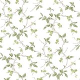 Papel De Parede Kitchen Recipes G12265 - Rolo 10m X 0,53m