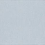 Papel De Parede Bambino Xviii Única Cor 247442 Rolo 10m X 0,53m