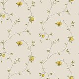 Papel De Parede Kitchen Recipes G12081 - Rolo 10m X 0,53m