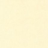 Papel De Parede Les Aventures 11024937 - Rolo 10m X 0,53m
