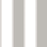 Papel De Parede Smart Stripes 2 Listras Largas G67552 - Rolo 10m X 0,53m