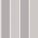 Papel De Parede Smart Stripes 2 Listras Largas G67548 - Rolo 10m X 0,53m